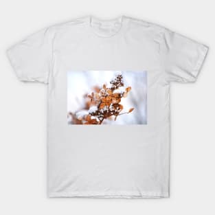 winter flowers T-Shirt